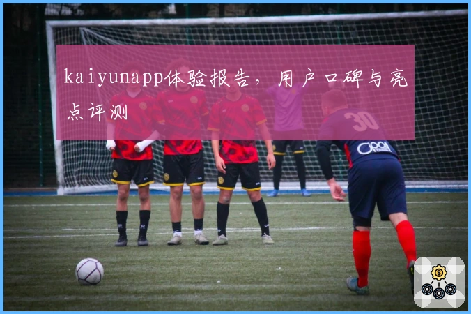 kaiyunapp体验报告，用户口碑与亮点评测