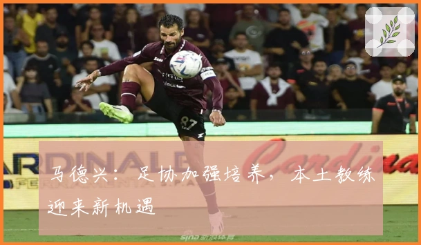 马德兴：足协加强培养，本土教练迎来新机遇
