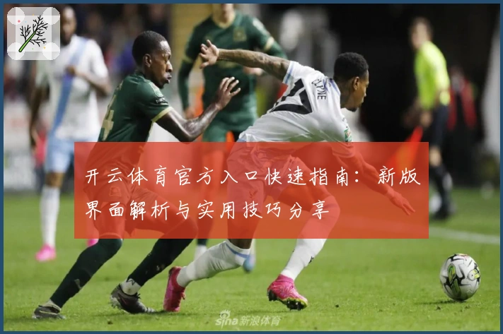 开云体育官方入口快速指南：新版界面解析与实用技巧分享